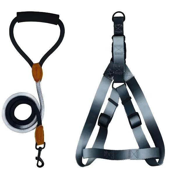 Adjustable Dog Harness Set with Leash