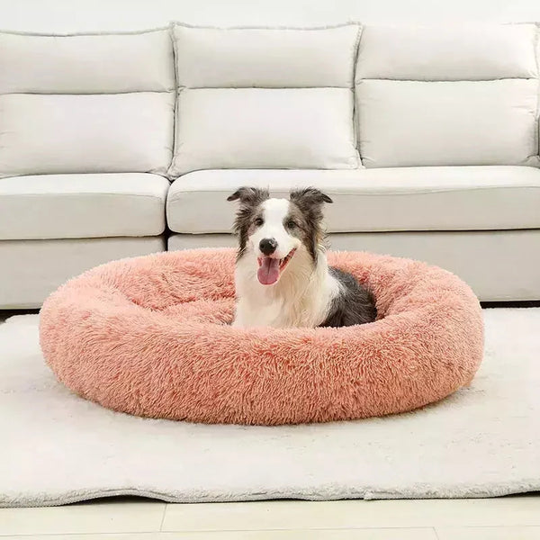 Cloud Comfort Pet Bed