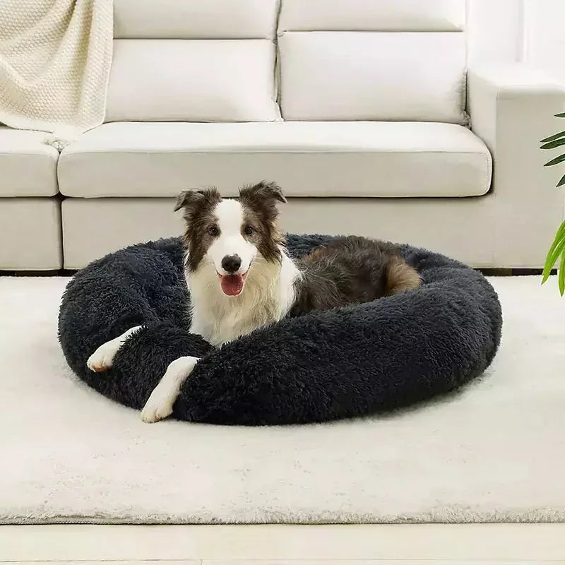 Cloud Comfort Pet Bed