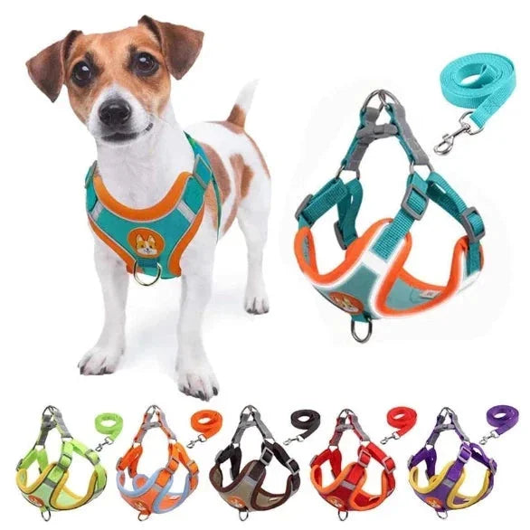 Secure Adjustable Dog Harness with Leash
