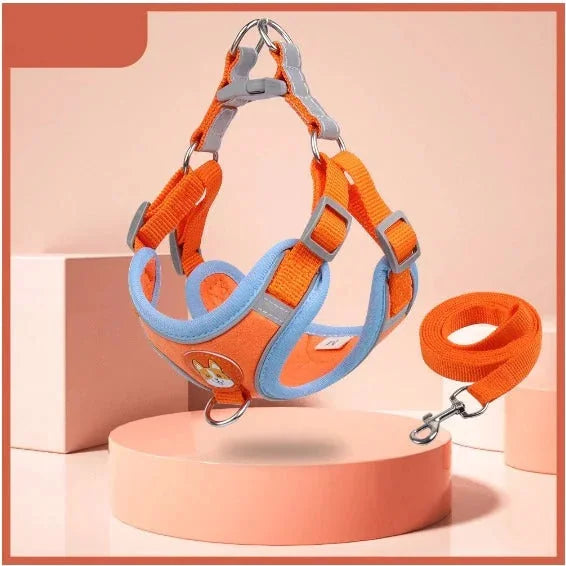 Secure Adjustable Dog Harness with Leash